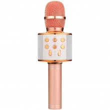 Karaoke party bluetooth microphone microsd fm tuner speaker black 009911 