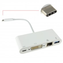 Usb 31 type c to dvi usb adapter type c host with pd function 15cm 009703 